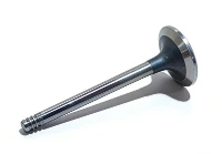 04133922 Inlaatklep voor Deutz TCD2.9L4